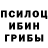 Псилоцибиновые грибы мухоморы Zams Jackie