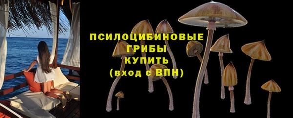 jwh Мегион