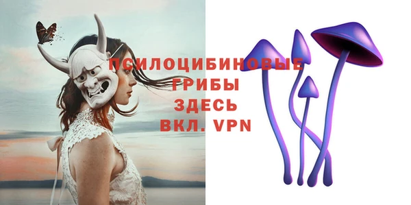 амф Медвежьегорск