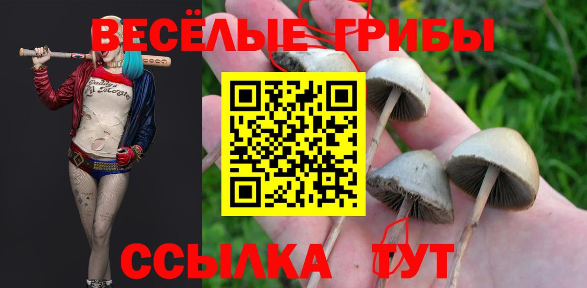 Самара  Галлюциногенные грибы GOLDEN TEACHER  Галлюциногенные грибы ЛСД  Вход с VPN 